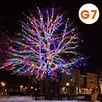 G7 STRING LIGHT (BASIC)